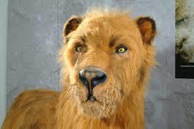 Dechenhohle and German Cave Museum Iserlohn