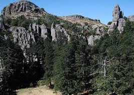 Cerro Ventanas
