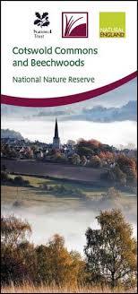 Cotswold Commons and Beechwoods National Nature Reserve