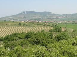 Pavlovské vrchy