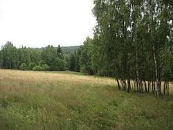 Pestrice