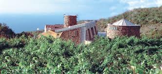 Bodegas Vinatigo