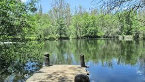 Bosque finlandes rascafria