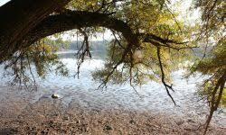 Rößlerweiher