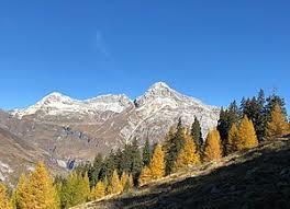 Teurihorn