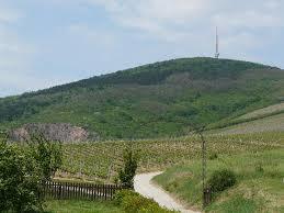 Kopasz Hill
