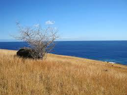 Cap la Houssaye