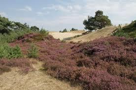 Nationaal Park Drents-Friese Wold