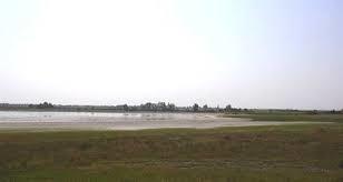 Zick See