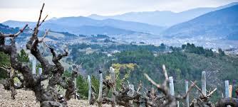Bodegas Valdesil