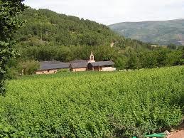 Bodegas Godeval
