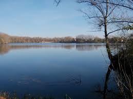 Kretzschauer See