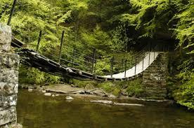 Allen Banks & Staward Gorge