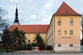 Nyugat-Szlovákiai Múzeum
