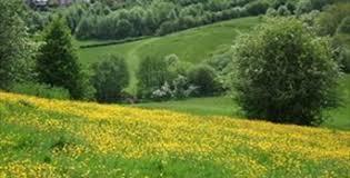 Ladderedge Country Park