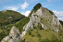 Chmeľová