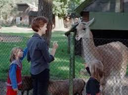 Nature and Animal Park Brueggen