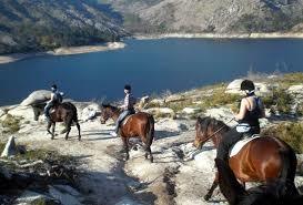 Equicampo