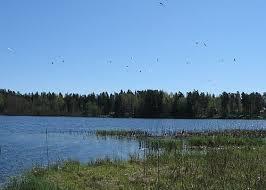 Perälänjärvi