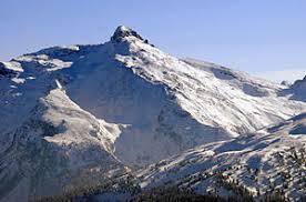 Wolfendorn
