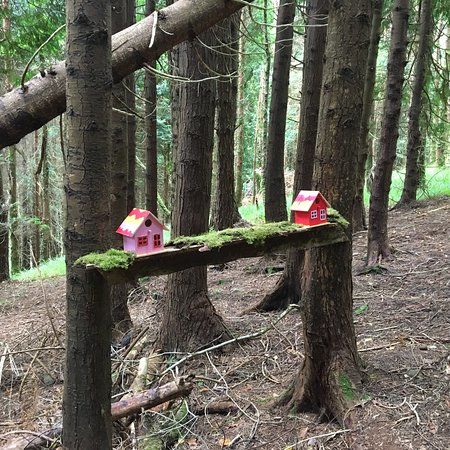 Glenbeigh Fairy Forest
