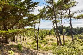 Bois des Eloux