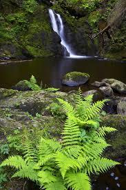 Falkauer Wasserfall
