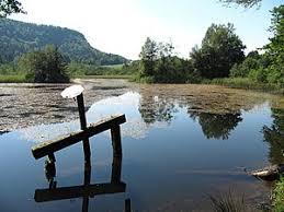 Penkensee