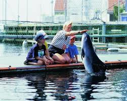 Fjord og Baelt Marine Research Center