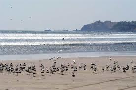 Playa El Tamarindo