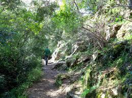 Sendero del Águila