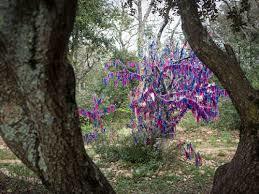 The Enchanted Forest