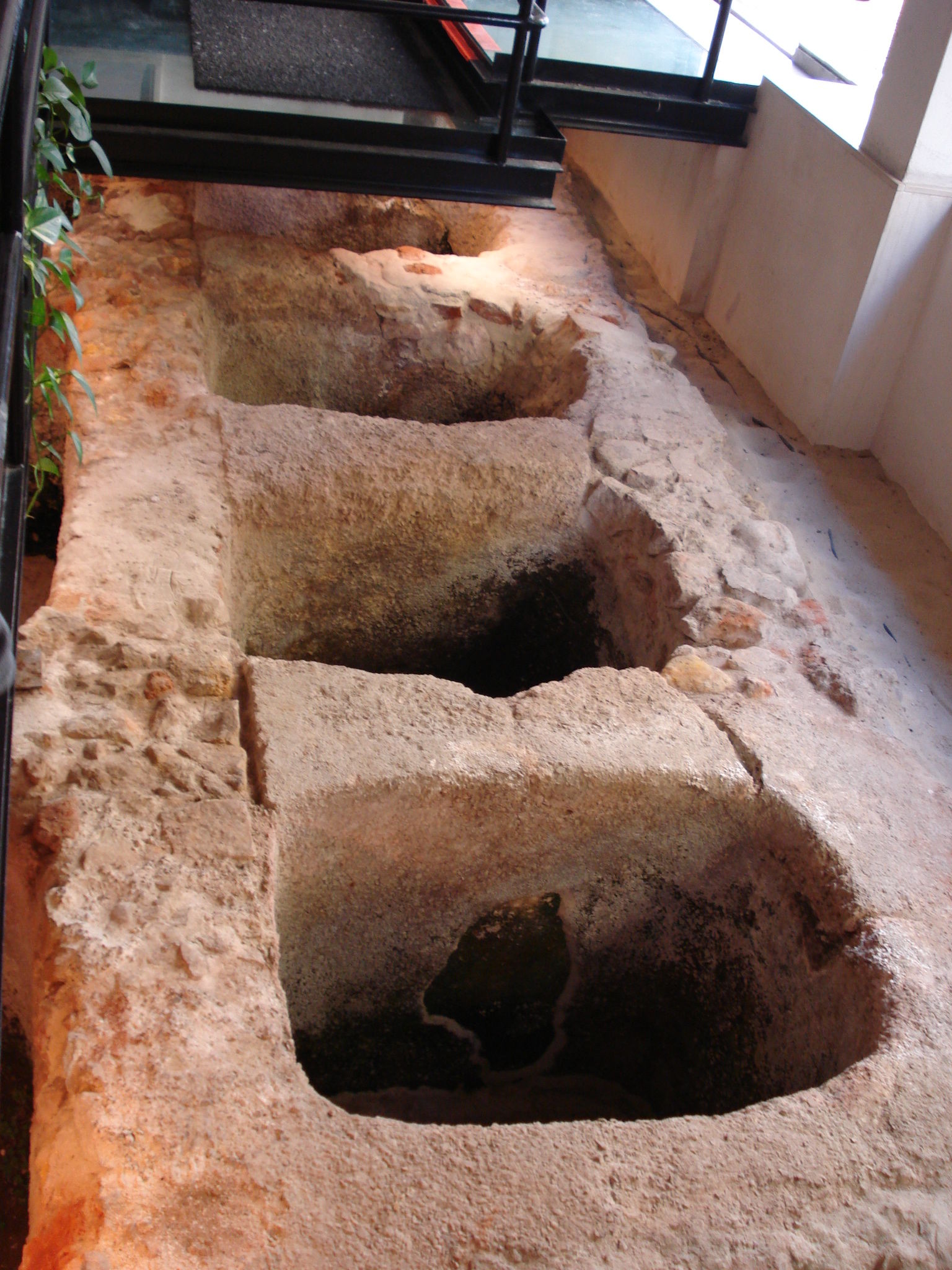 Fabrica Romana de Salga