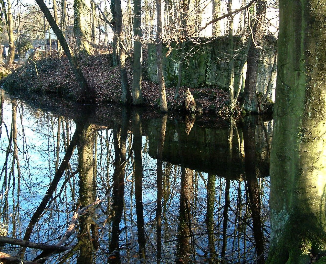 Motte Kippekausen