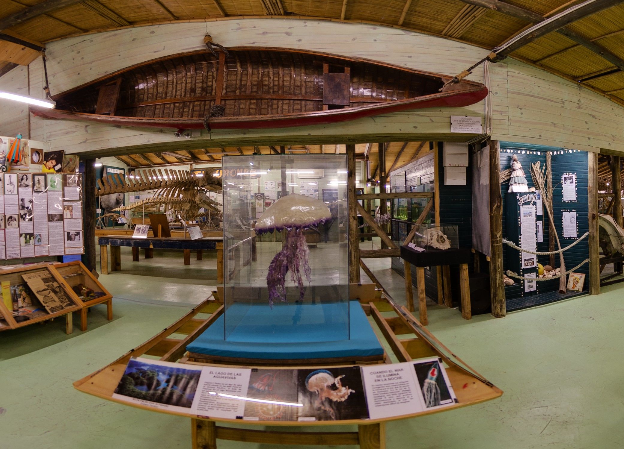 Museo del Mar