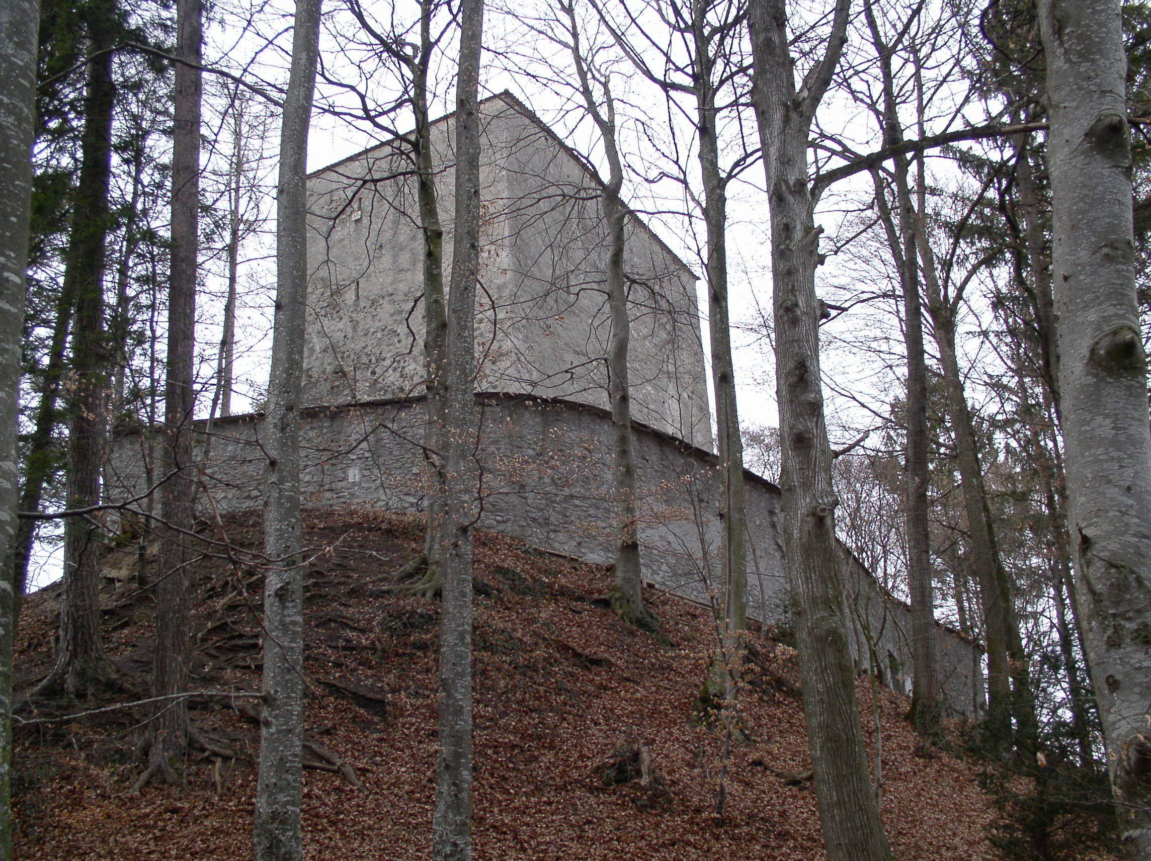 Ruine Strattligen