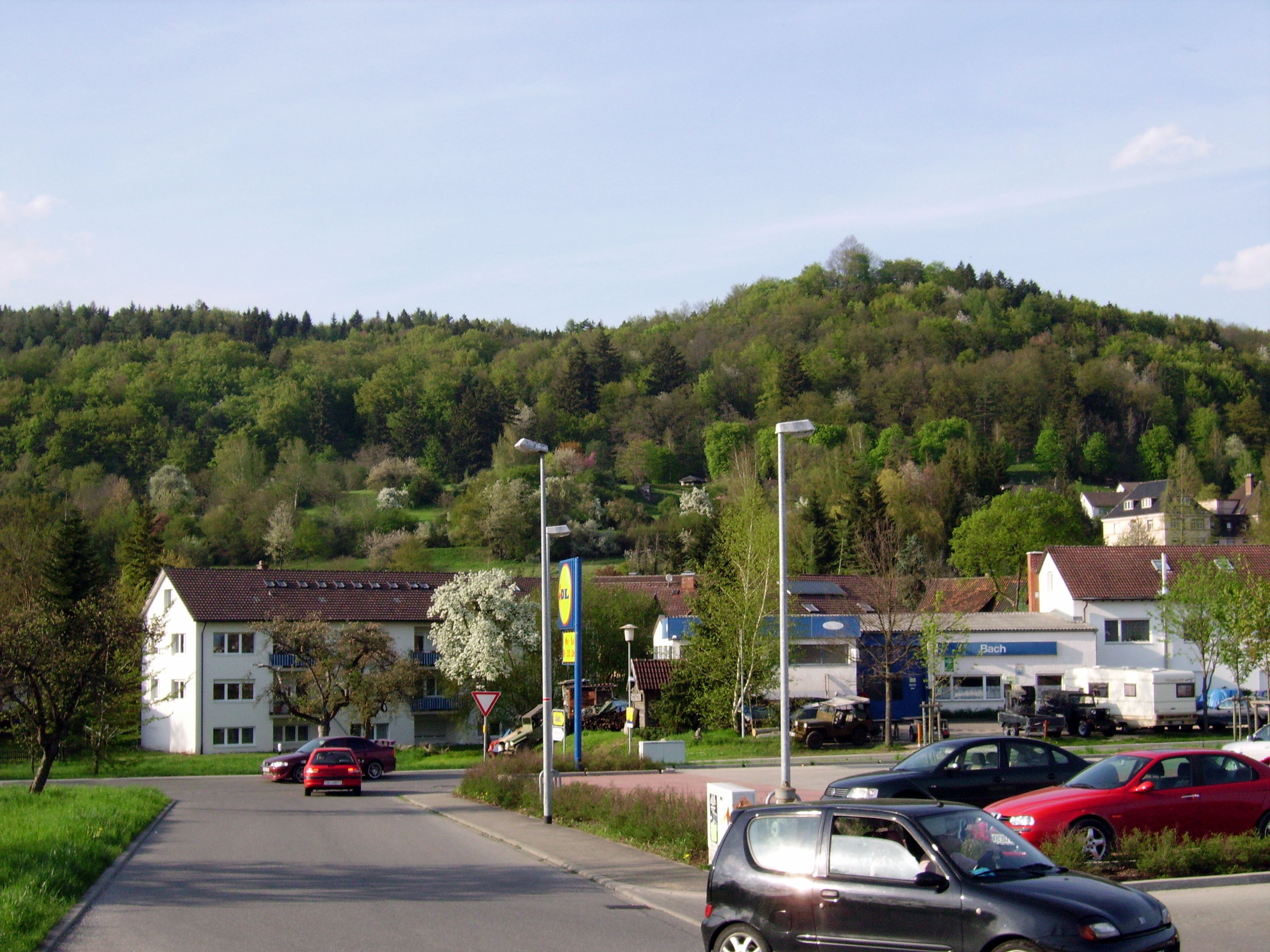 Burgruine Burgli Schloss