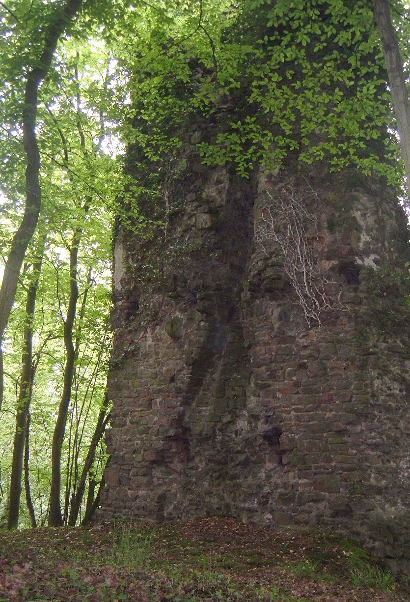 Burgruine Grossbernsau