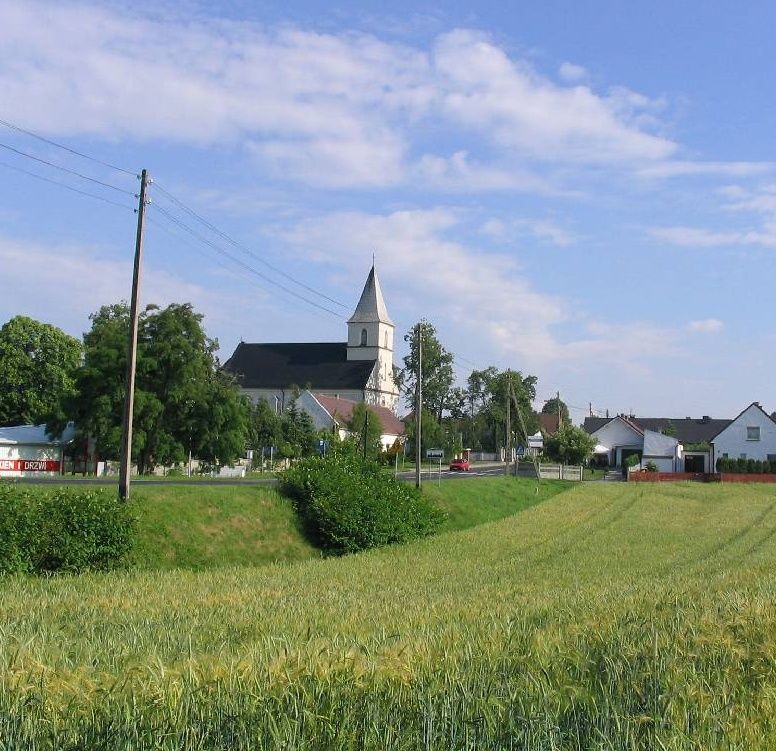 Parafia Trójcy Świętej w Boguszycach