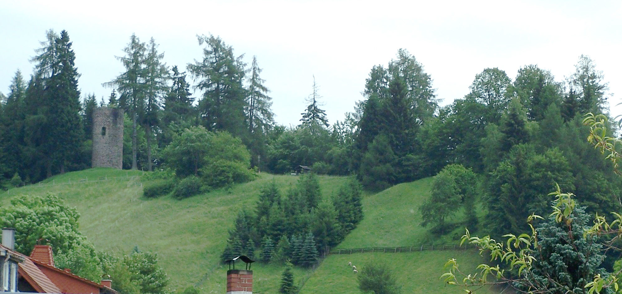 Burg Schwarzwald