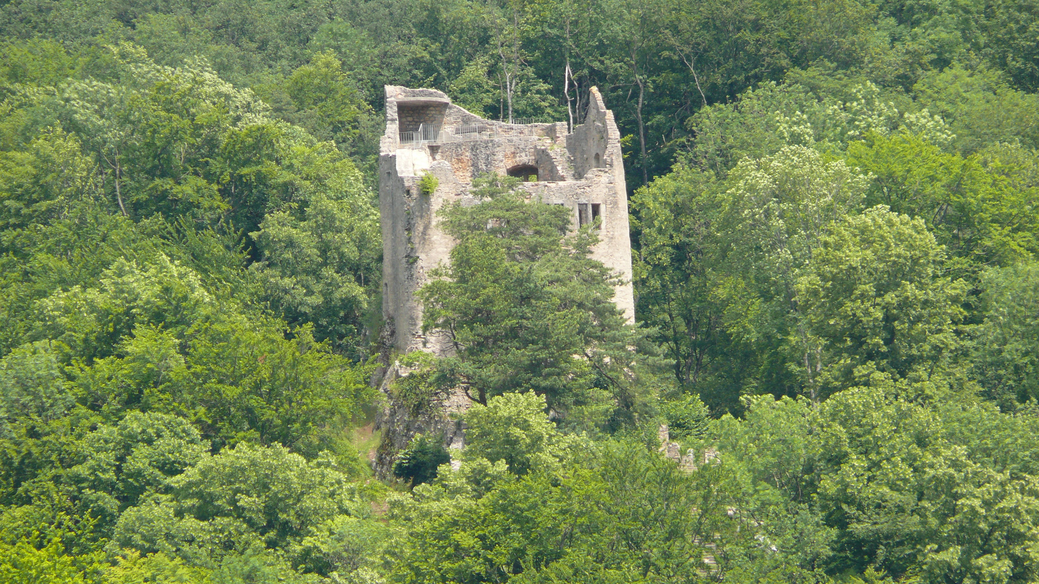 Neu-Homburg Castle