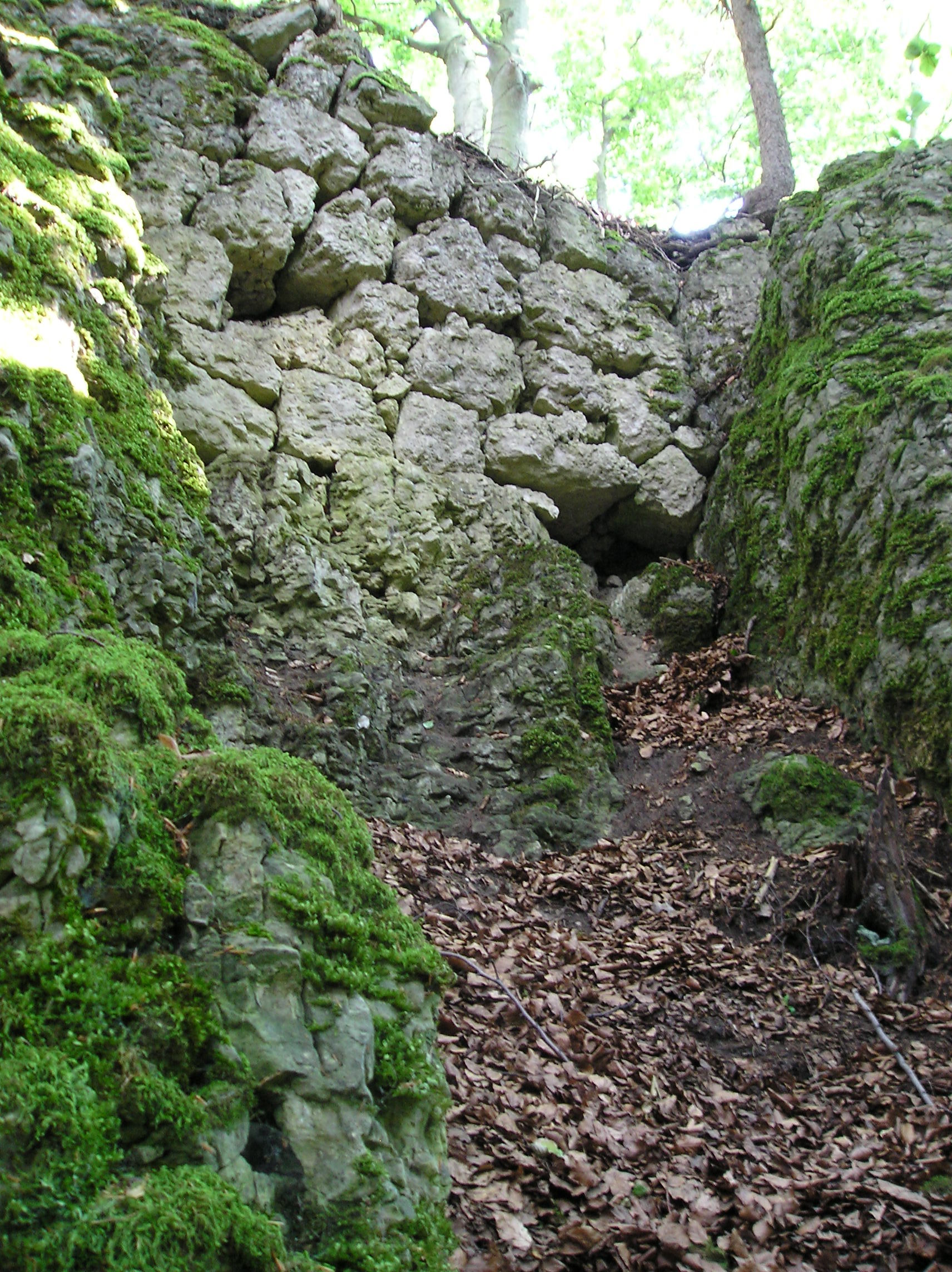 Burgstall Schlossberg