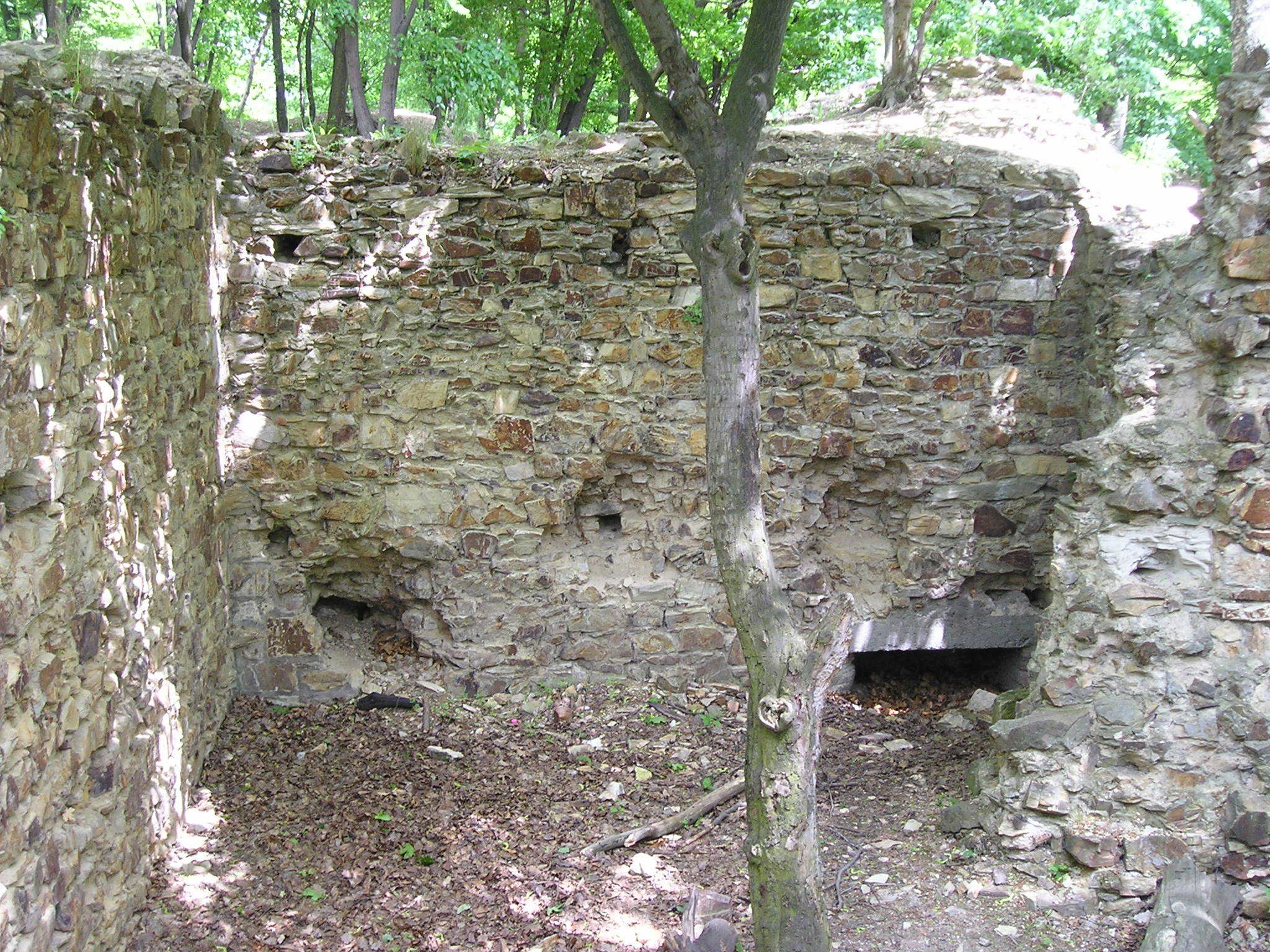 Novy hrad u Kunratic
