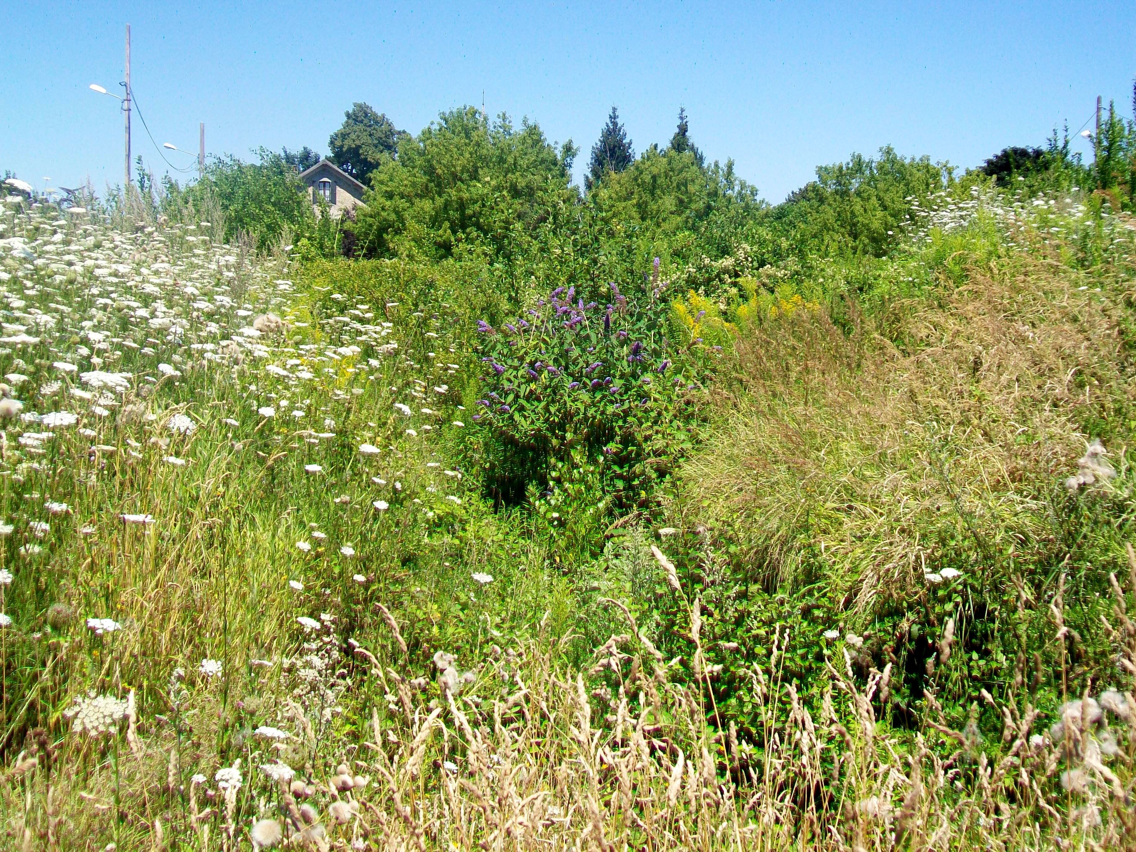 Theatre antique de Meaux