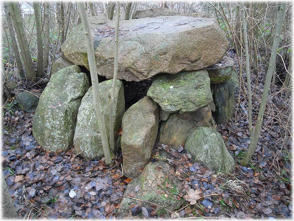 Grosssteingrab Rauberhauptmannsberg