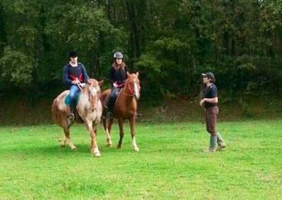 Hidalgo Equitazione