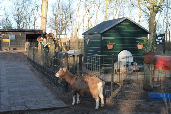 Kinderboerderij Velserbeek