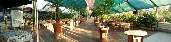 Zitrusgarten