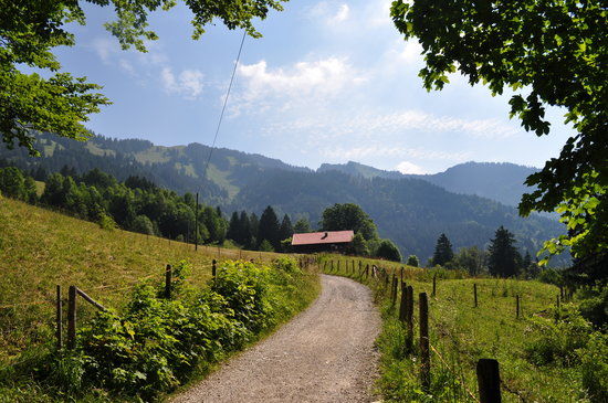 Moar Alm