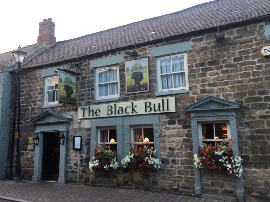 Black Bull